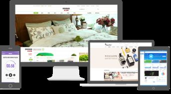 系統(tǒng)開(kāi)發(fā)